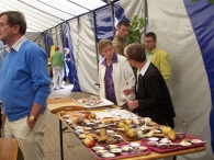 Najaarsfeestweek: Interreligieuze Ontmoeting