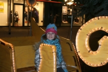 Kerstmarkt (De IJsvogel)