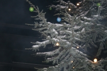 Kerstmarkt (De IJsvogel)