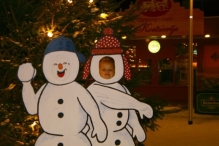 Kerstmarkt (De IJsvogel)
