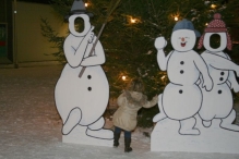 Kerstmarkt (De IJsvogel)