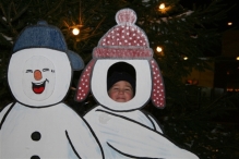 Kerstmarkt (De IJsvogel)