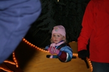 Kerstmarkt (De IJsvogel)