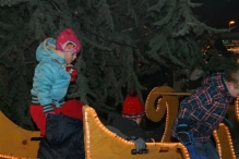 Kerstmarkt (De IJsvogel)