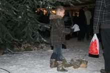 Kerstmarkt (De IJsvogel)