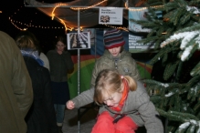 Kerstmarkt (De IJsvogel)