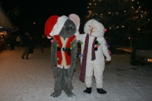 Kerstmarkt (De IJsvogel)