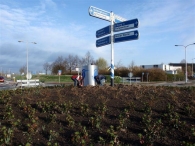 IJsvogel op de rotonde