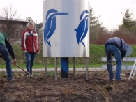 IJsvogel op de rotonde