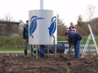 IJsvogel op de rotonde