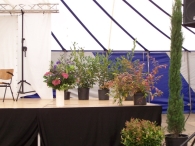 Najaarsfeestweek 2011: InterreligieuzeBijeenkomst
