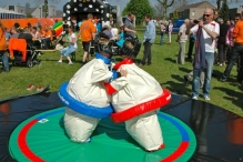 Koninginnedag 2012