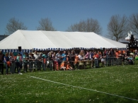 Koninginnedag 2012 (2)