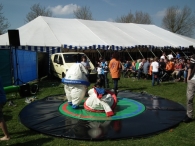 Koninginnedag 2012 (2)