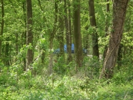 Vredeswandeling Biddinghuizen
