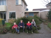 Kerstbomen versnipperen