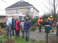Kerstbomen versnipperen