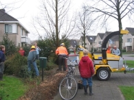 Kerstbomen versnipperen