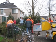 Kerstbomen versnipperen