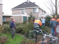 Kerstbomen versnipperen