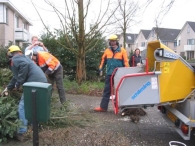Kerstbomen versnipperen