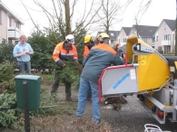 Kerstbomen versnipperen