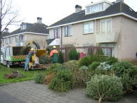 Kerstbomen versnipperen