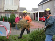 Kerstbomen versnipperen