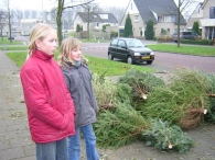 Kerstbomen versnipperen