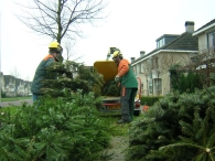 Kerstbomen versnipperen