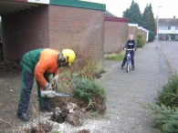Kerstbomen versnipperen