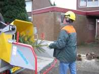 Kerstbomen versnipperen