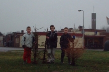 Kerstbomen versnipperen