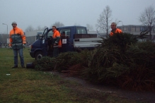 Kerstbomen versnipperen