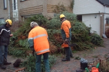 Kerstbomen versnipperen