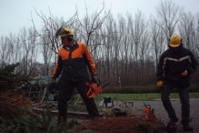 Kerstbomen versnipperen