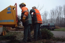 Kerstbomen versnipperen