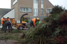 Kerstbomen versnipperen