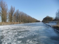 In Vogelvlucht: Dieren in de winter