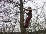 In Vogelvlucht: onderhoud bosstrook De Baan