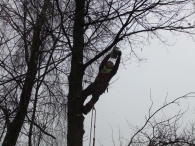In Vogelvlucht: onderhoud bosstrook De Baan