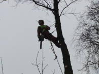 In Vogelvlucht: onderhoud bosstrook De Baan