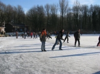 Scholen schaatsen ijsbaan