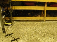 Jong Leven en Elly & Rikkert