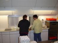 Paaseieren zoeken (1)