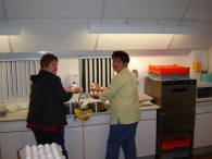 Paaseieren zoeken (1)