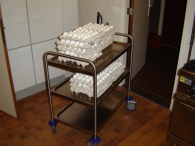 Paaseieren zoeken (1)