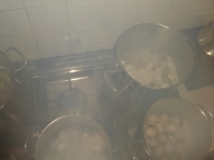 Paaseieren zoeken (1)