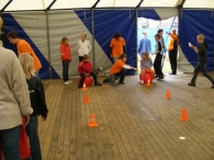 Koninginnedag 2010: Diversen