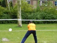 Koninginnedag 2010: Diversen